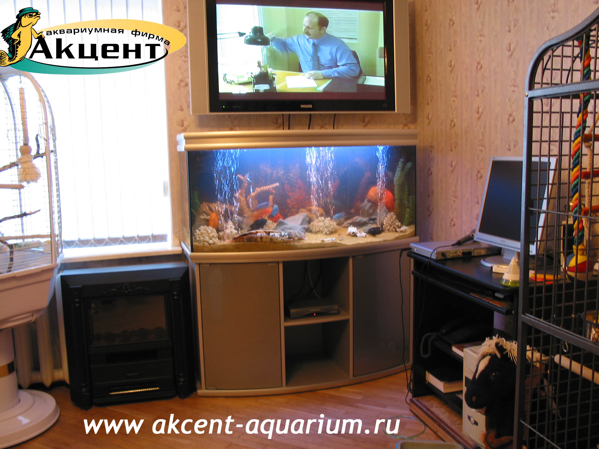 Акцент-аквариум, аквариум 280 литров, с гнутым передним стеклом